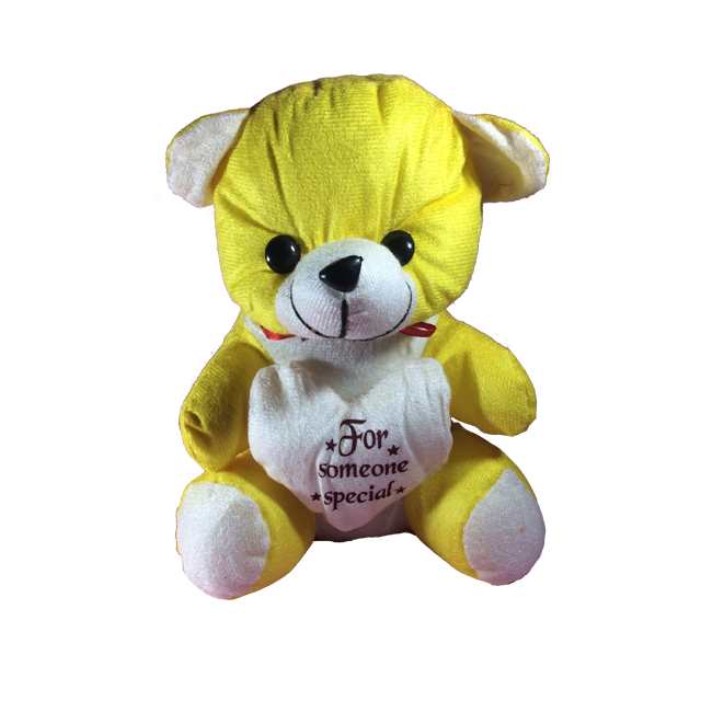 For Someone Special Teddy Bear For Boys and Girls