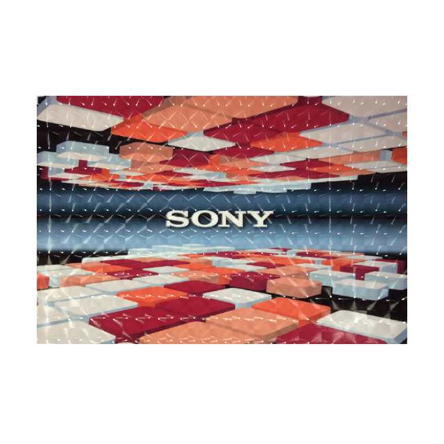 Longlight Sony 3D Laptop Skin AX-101 For 15.6 inch Laptop